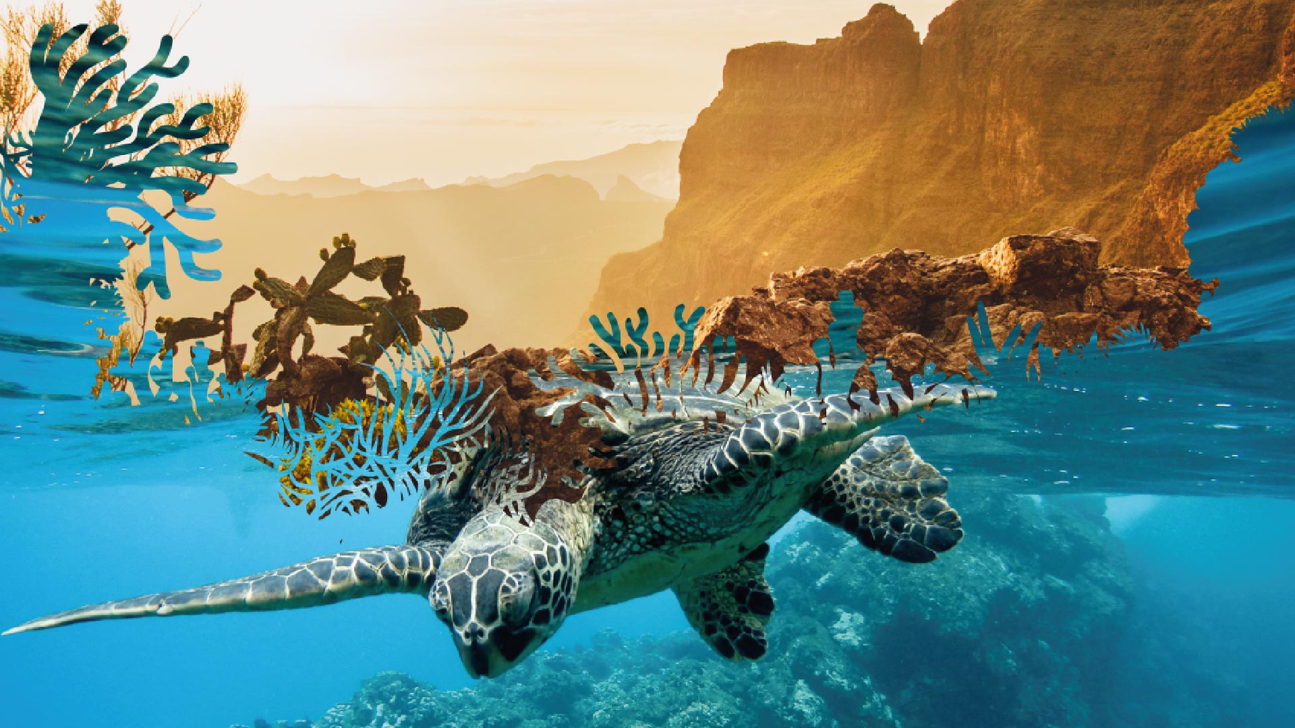 DESCUBRE NATURE & ADVENTURE Coral Hotels DESCUBRE NATURE & ADVENTURE Coral Hotels
