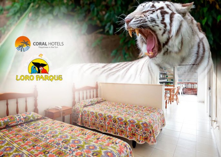 Paquete loro parque- estudio en solo alojamiento + 1 entrada por persona al loro parque. estancia mínima de 7 noches coral teide mar puerto de la cruz Paquete loro parque- estudio en solo alojamiento + 1 entrada por persona al loro parque. estancia mínima de 7 noches coral teide mar puerto de la cruz