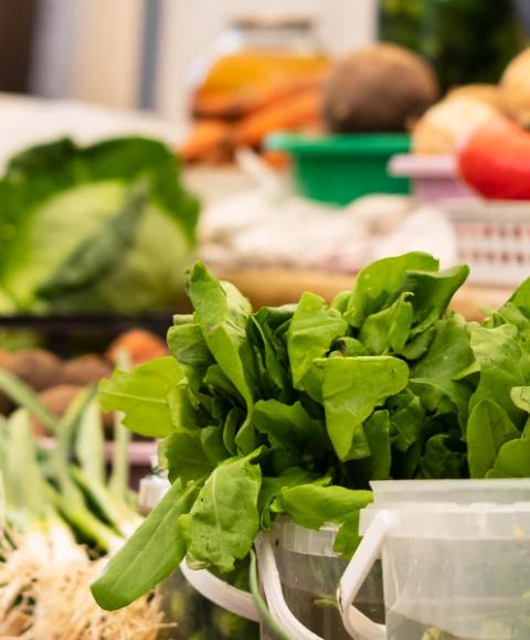 Consumo local Coral Hotels Consumo local Coral Hotels