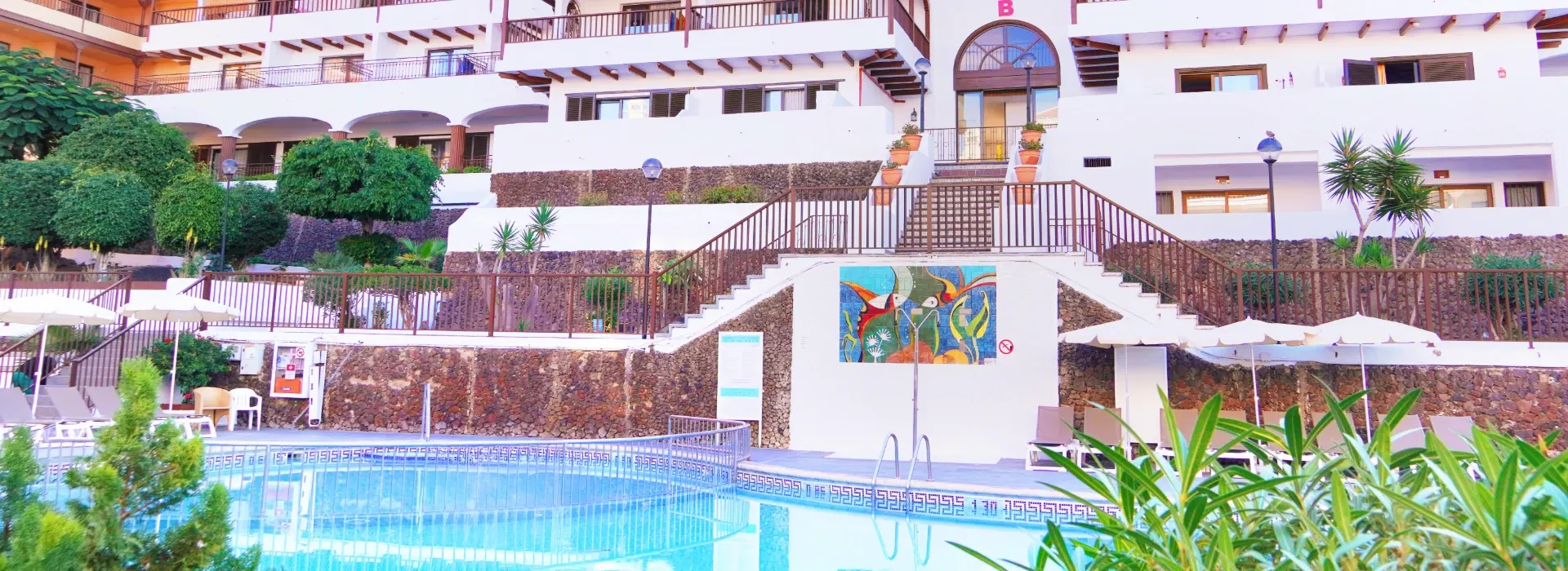 Apartamentos Coral Los Alisios Apartamentos Coral Los Alisios Los Cristianos Apartamentos Coral Los Alisios Apartamentos Coral Los Alisios Los Cristianos