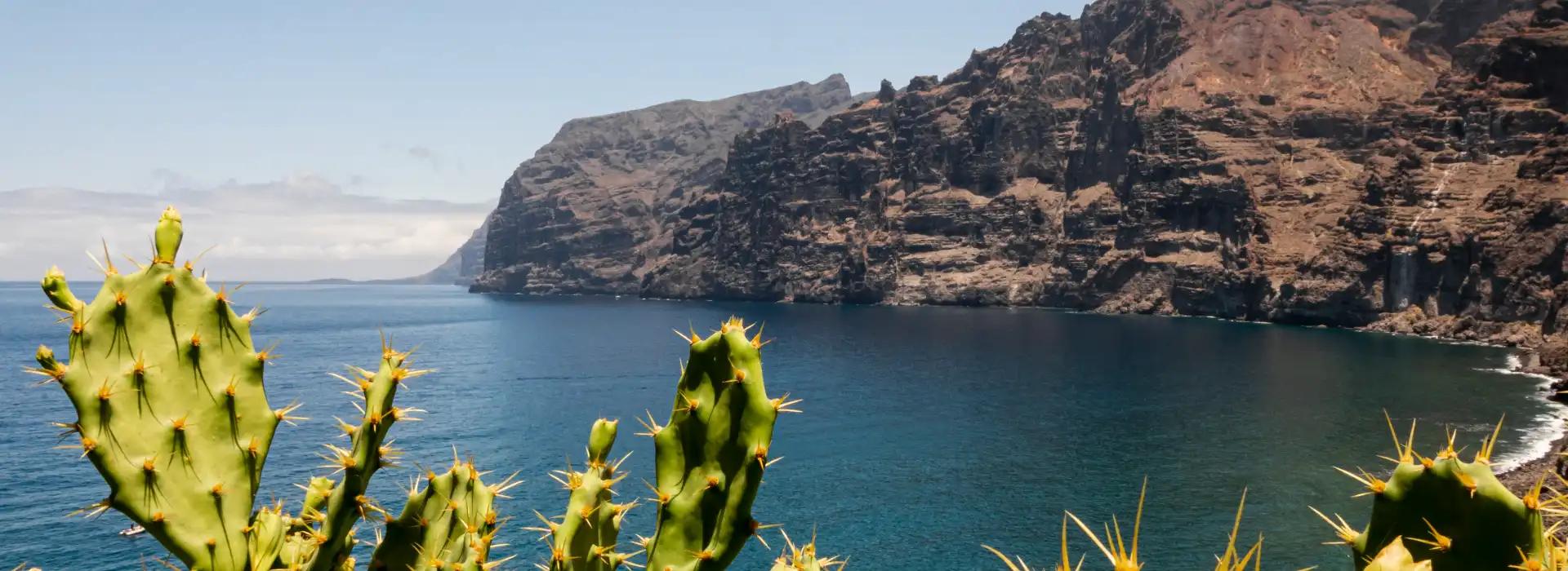 Novedades Coral Hotels Novedades Coral Hotels