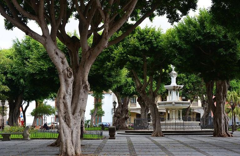 Coral Hotels  Coral Hotels