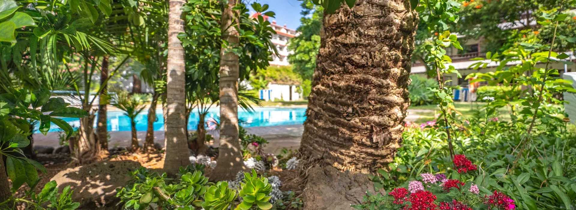 Nature & Adventure Coral Hotels Nature & Adventure Coral Hotels