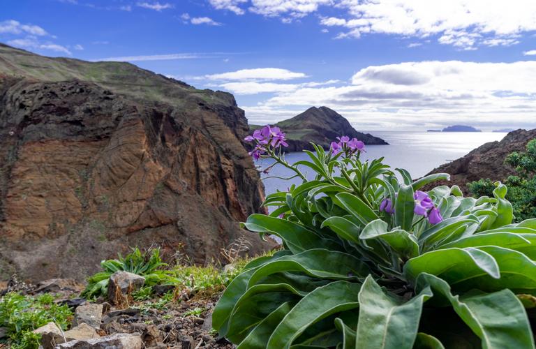 Coral Hotels Coral Hotels