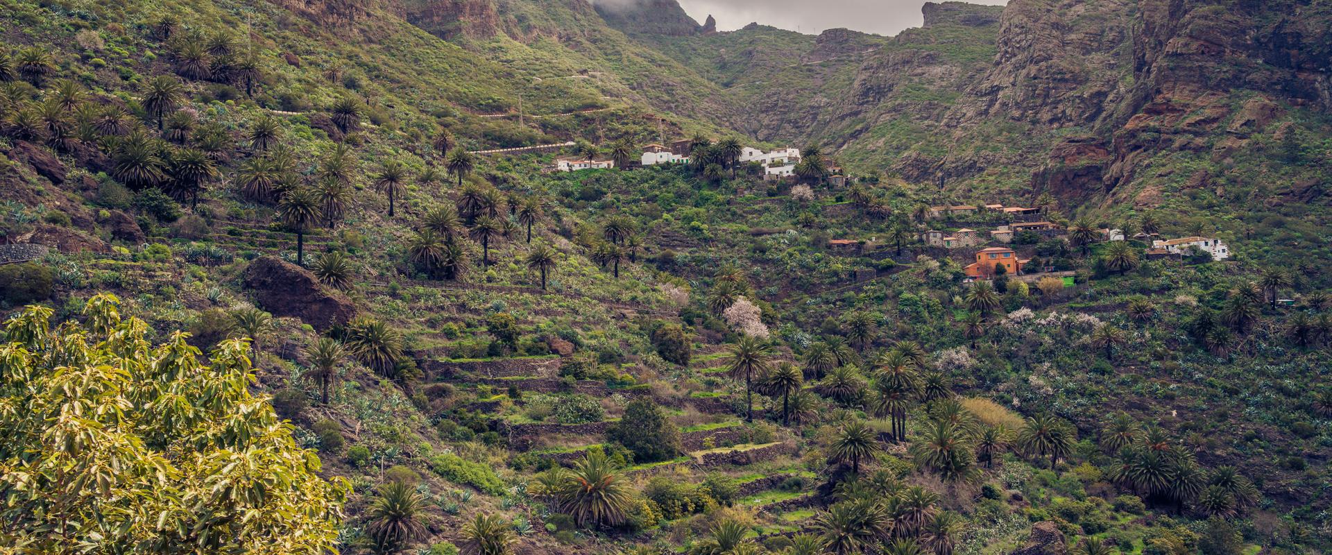 ¿Conoces el Parque Rural de Teno? Coral Hotels ¿Conoces el Parque Rural de Teno? Coral Hotels