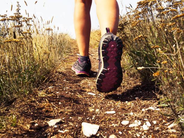 Senderismo en el Paisaje Protegido de Las Lagunetas Coral Hotels Senderismo en el Paisaje Protegido de Las Lagunetas Coral Hotels