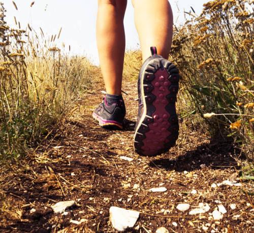 Senderismo en el Paisaje Protegido de Las Lagunetas Coral Hotels Senderismo en el Paisaje Protegido de Las Lagunetas Coral Hotels