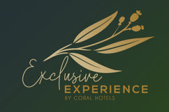 Exclusive Experience Exclusive Experience